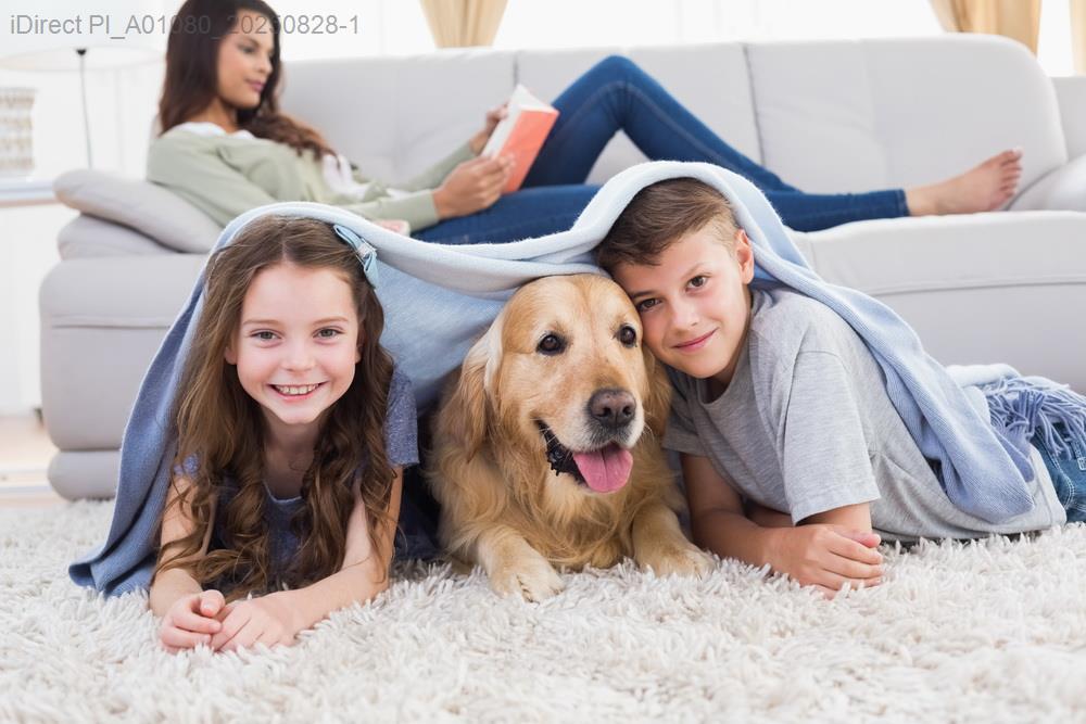 「探索愛情密碼！星座血型性格配對表大解析，找出你的完美另一半」示意圖